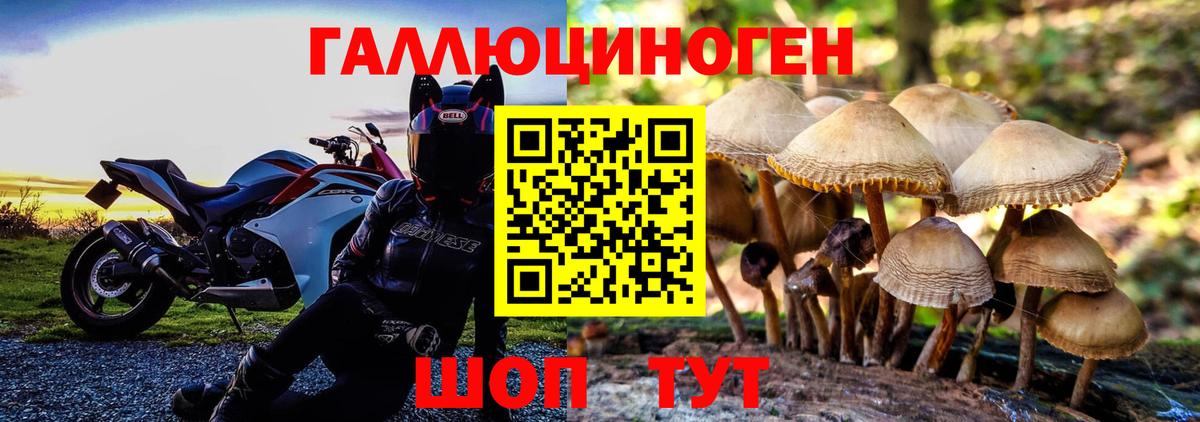 Фурманов  Псилоцибиновые грибы Magic Shrooms  где можно купить   Вход с VPN 